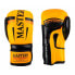 Boxing gloves MASTERS RPU-FT 011123-0210