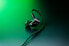 Razer Moray - Ergonomischer In-Ear-Monitor für ganztägiges Streaming