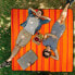 Фото #3 товара Picknickdecke 200x200cm orange gestreift