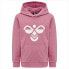 Фото #2 товара HUMMEL Cuatro hoodie