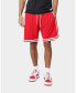 ფოტო #1 პროდუქტის Mens Precision Ball Shorts