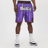 Фото #3 товара Шорты баскетбольные Mitchell&Ness модель SHORBW18055-TRAPURP, NBA ретро дизайн, Торонто Рэпторс, унисекс, фиолетовые