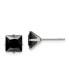 ფოტო #1 პროდუქტის Stainless Steel Polished Black Square CZ Stud Earrings