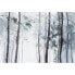 Фото #1 товара Fototapete Watercolour Forest