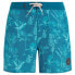 PROTEST Uror Swimming Shorts