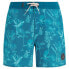 Фото #3 товара PROTEST Uror Swimming Shorts