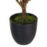 Декоративное растение полиэстер полиэтилен Железо 30 x 30 x 60 cm Magnolia