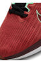 Kırmızı - Pembe Kadın Koşu Ayakkabısı DD8686-601 WMNS NIKE AIR WINFLO 9