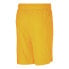 Фото #2 товара Puma Essential Rtg 10" Shorts Mens Orange Casual Athletic Bottoms 67042639