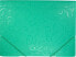 Фото #1 товара Titanum Teczka A4 z gumką wzory zielona