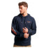 SUPERDRY Sportswear Logo Loose hoodie