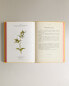 Фото #4 товара Atlas de poche des plantes champs, des prairies et des bois sér 1 book