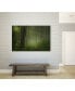 Фото #5 товара 32" x 24" Maier - Forest Morning Museum Mounted Canvas Print