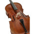 Lothar Semmlinger No. 134A Antiqued Cello 7/8