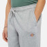 DICKIES Youth Mapleton sweat pants