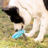 Фото #22 товара Замораживаемая жевательная игрушка 2-в-1 для домашних животных Glubiz InnovaGoods
