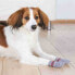 Фото #2 товара TRIXIE Dog Socks