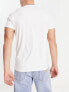 Hollister 3 pack icon outline logo t-shirt in white/green/grey