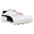 Фото #2 товара Puma Evospeed Long Jump 6 Track And Field Mens White Sneakers Athletic Shoes 19