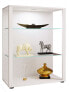 Фото #6 товара Holz Glas Stand Vitrine Glasol L