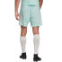 Фото #4 товара Adidas Entrada 22 M HC5051 Shorts