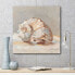 Фото #2 товара Impressionist Shell Study II Gallery-Wrapped Canvas Wall Art - 20" x 20"