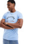 Tommy Hilfiger arch logo t-shirt in baby blue Vessel Blue, 2XL - Chest 115-120 cm - фото #1