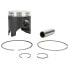 Фото #1 товара WSM GP1200R STD 010-829PK Piston Kit