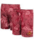 ფოტო #1 პროდუქტის Men's Cardinal Iowa State Cyclones The Dude Swim Shorts