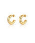 ფოტო #1 პროდუქტის Small Chunky Anti-Tarnish Hoop Earrings