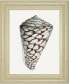 Modern Shell With Teal Il by Patricia Pinto Framed Print Wall Art - 22" x 26"