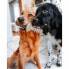 Фото #5 товара Прорезыватель для зубов для собак Benebone Коричневый Животные