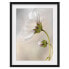 Фото #1 товара Bild Himmlischer Blütentraum I