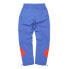 Фото #4 товара [FJ3334] Mens Reebok Classics Twin Vector Track Pants