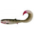 SAVAGE GEAR Cannibal Curltail Soft Lure 125 mm 10g 40 Units