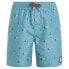 PROTEST Hein Swimming Shorts