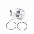 ITALKIT Honda NSR / Yamaha Tzr 100 D 53.97 C Piston Kit