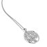 Silver Necklace Tree of Life Hot Diamonds Nurture DP864 (chain, pendant)