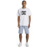 DC SHOES Highland sweat pants