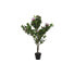 Фото #1 товара Декоративное растение DKD Home Decor Розовый Зеленый PE (60 x 60 x 125 cm)