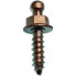 GOLDENSHIP Fast Snap Fibric Glass Wood Screw 100 Units