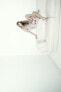 Фото #2 товара Платье в бельевом стиле с принтом ZARA