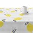 Stain-proof resined tablecloth Belum Said 140 x 140 cm