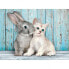 CLEMENTONI Cat And Bunny 500 Pieces Puzzle