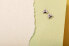 Фото #10 товара Серебряные одиночные серьги с цирконами Storie bee RZO050R