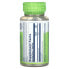 Solaray, True Herbs, пиретрум, 380 мг, 100 VEGCAPS