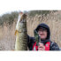 Фото #14 товара Приманка для рыбалки Fox Rage Replicant Jointed Tench Swimbait 180 мм