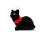 Фото #1 товара Suede gift box Cat KDET8-B