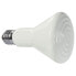 ფოტო #1 პროდუქტის FERPLAST 100W Ceramic Bulb