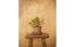 Фото #9 товара Горшок для комнатных растений ZARAHOME "Керамический с поддоном"